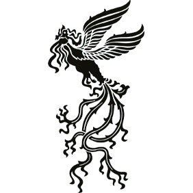 مهرجان الفجر السينمائي