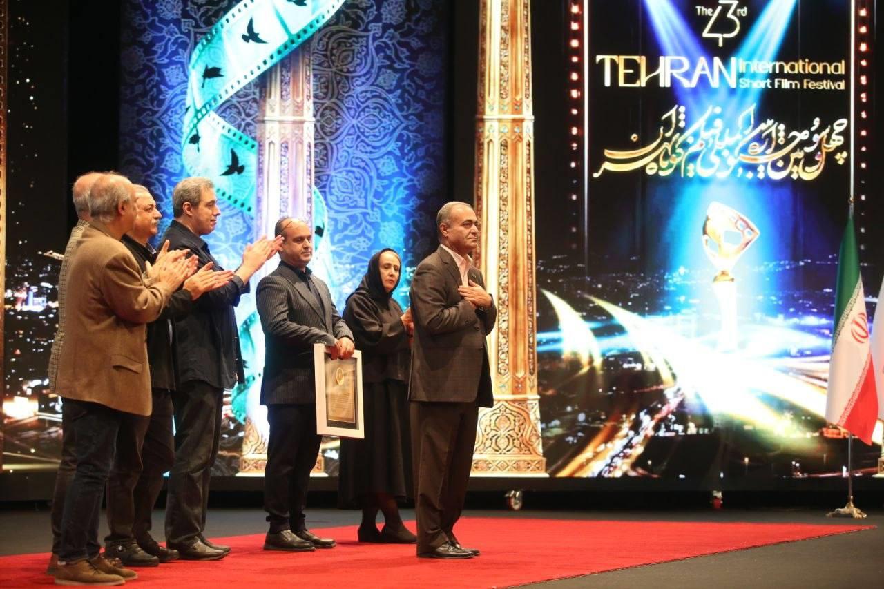 سازمان