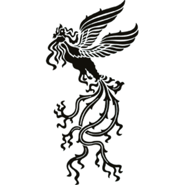 مهرجان الفجر السينمائي